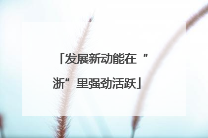 发展新动能在“浙”里强劲活跃