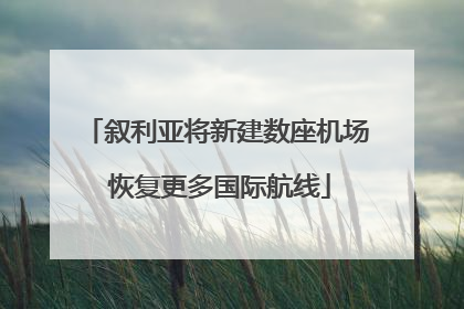 叙利亚将新建数座机场 恢复更多国际航线