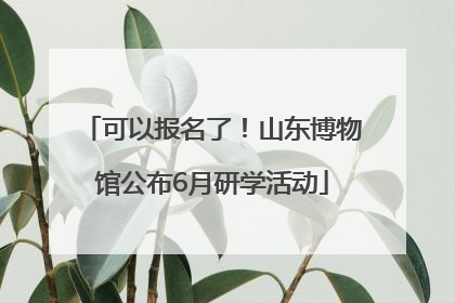可以报名了！山东博物馆公布6月研学活动