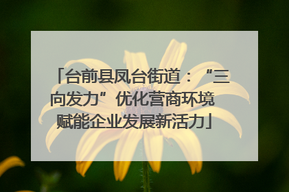 台前县凤台街道：“三向发力”优化营商环境 赋能企业发展新活力