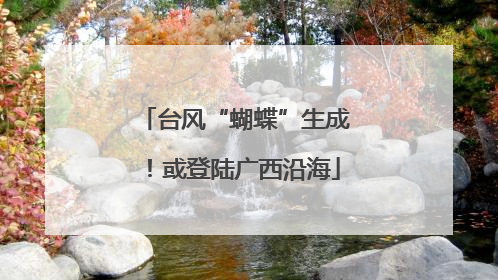 台风“蝴蝶”生成！或登陆广西沿海