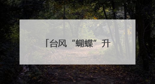 台风“蝴蝶”升级！厦门未来七天都是这个天气→