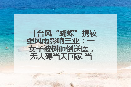 台风“蝴蝶”携较强风雨影响三亚：一女子被树砸倒送医，无大碍当天回家 当地已紧急清障