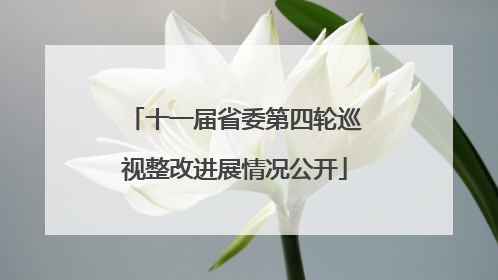 十一届省委第四轮巡视整改进展情况公开