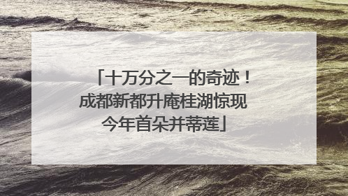 十万分之一的奇迹！成都新都升庵桂湖惊现今年首朵并蒂莲