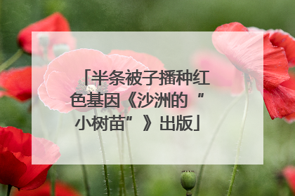 半条被子播种红色基因《沙洲的“小树苗”》出版