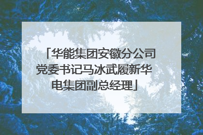 华能集团安徽分公司党委书记马冰武履新华电集团副总经理