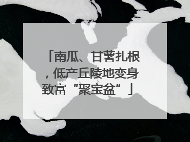 南瓜、甘薯扎根，低产丘陵地变身致富“聚宝盆”