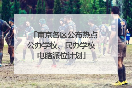 南京各区公布热点公办学校、民办学校电脑派位计划