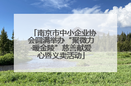 南京市中小企业协会圆满举办“聚微力·暖金陵”慈善献爱心暨义卖活动