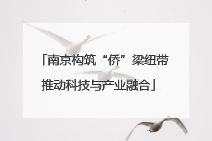 南京构筑“侨”梁纽带推动科技与产业融合