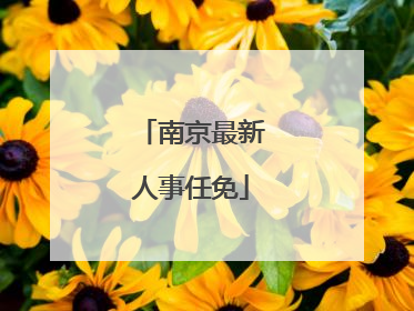 南京最新人事任免