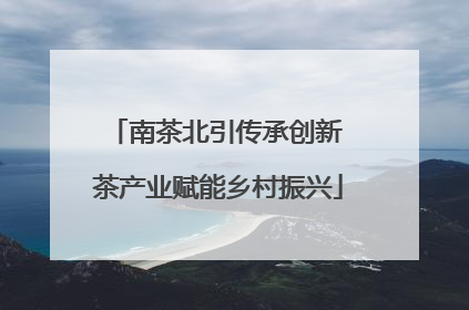 南茶北引传承创新 茶产业赋能乡村振兴