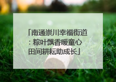 南通崇川幸福街道：粽叶飘香暖童心 田间耕耘助成长