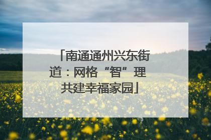 南通通州兴东街道：网格“智”理 共建幸福家园