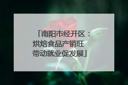 南阳市经开区：烘焙食品产销旺 带动就业促发展