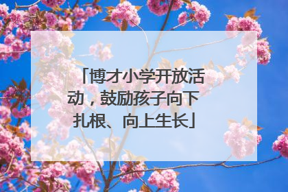 博才小学开放活动，鼓励孩子向下扎根、向上生长