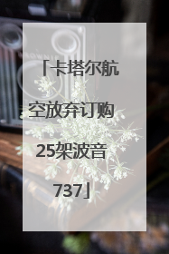 卡塔尔航空放弃订购25架波音737