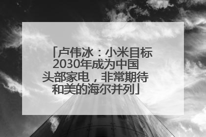 卢伟冰：小米目标2030年成为中国头部家电，非常期待和美的海尔并列