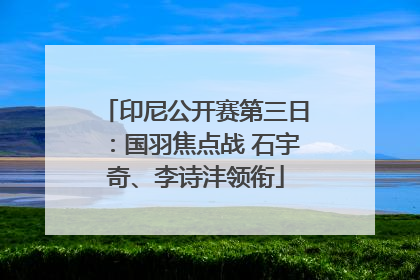 印尼公开赛第三日：国羽焦点战 石宇奇、李诗沣领衔
