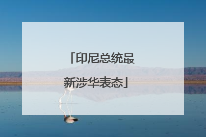 印尼总统最新涉华表态