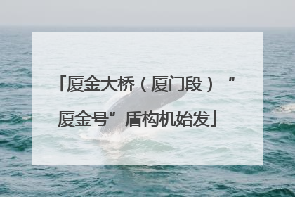 厦金大桥（厦门段）“厦金号”盾构机始发