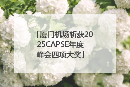厦门机场斩获2025CAPSE年度峰会四项大奖
