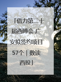 借力第二十届西博会 广安拟签约项目57个｜数读西投
