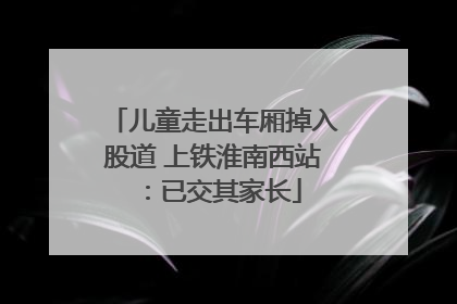 儿童走出车厢掉入股道 上铁淮南西站：已交其家长