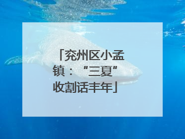 兖州区小孟镇：“三夏”收割话丰年