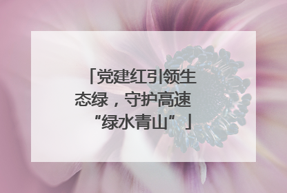 党建红引领生态绿，守护高速“绿水青山”
