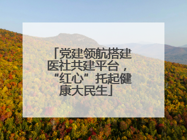 党建领航搭建医社共建平台，“红心”托起健康大民生