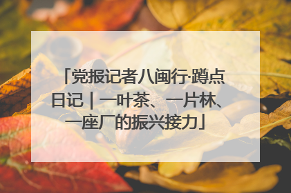 党报记者八闽行·蹲点日记｜一叶茶、一片林、一座厂的振兴接力
