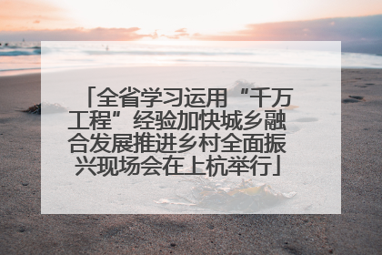 全省学习运用“千万工程”经验加快城乡融合发展推进乡村全面振兴现场会在上杭举行
