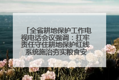 全省耕地保护工作电视电话会议强调：扛牢责任守住耕地保护红线 系统施治夯实粮食安全根基 王宁作出批示 王予波出席并讲话