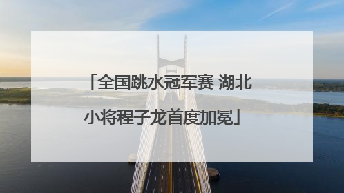 全国跳水冠军赛 湖北小将程子龙首度加冕