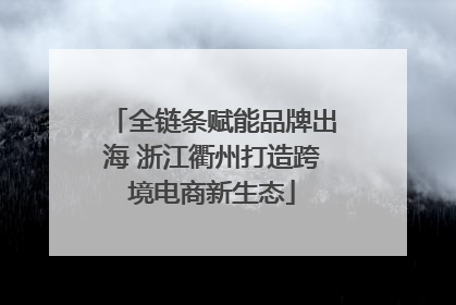 全链条赋能品牌出海 浙江衢州打造跨境电商新生态