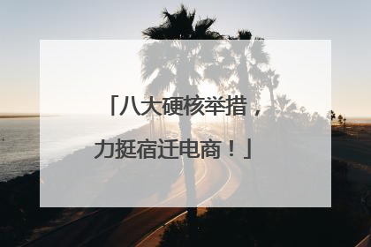 八大硬核举措，力挺宿迁电商！