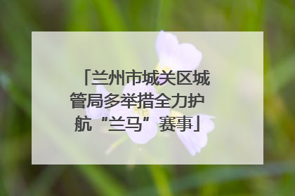 兰州市城关区城管局多举措全力护航“兰马”赛事