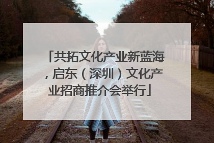 共拓文化产业新蓝海，启东（深圳）文化产业招商推介会举行