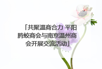 共聚温商合力 平阳腾蛟商会与南京温州商会开展交流活动