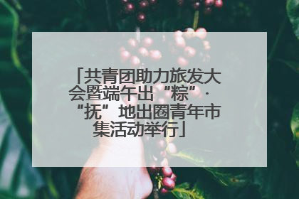 共青团助力旅发大会暨端午出“粽”·“抚”地出圈青年市集活动举行