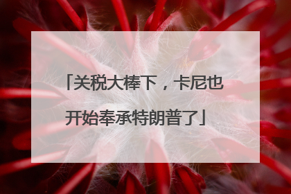 关税大棒下，卡尼也开始奉承特朗普了