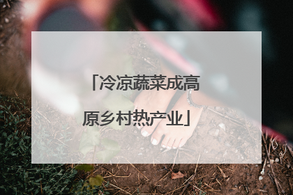 冷凉蔬菜成高原乡村热产业