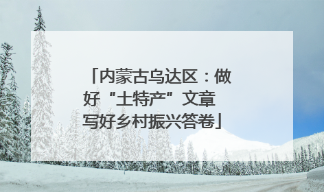 内蒙古乌达区：做好“土特产”文章 写好乡村振兴答卷