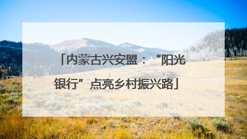 内蒙古兴安盟：“阳光银行”点亮乡村振兴路
