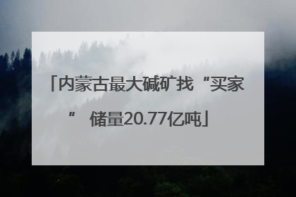 内蒙古最大碱矿找“买家” 储量20.77亿吨