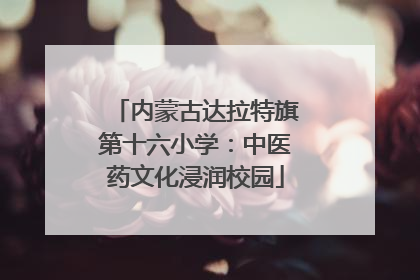 内蒙古达拉特旗第十六小学：中医药文化浸润校园