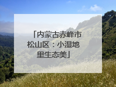 内蒙古赤峰市松山区：小湿地里生态美