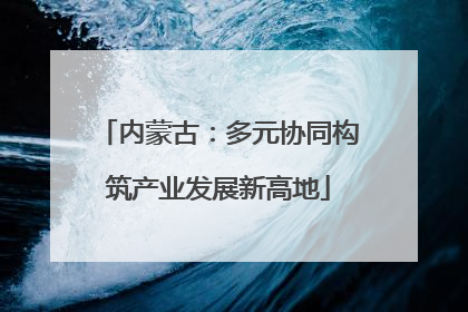 内蒙古：多元协同构筑产业发展新高地